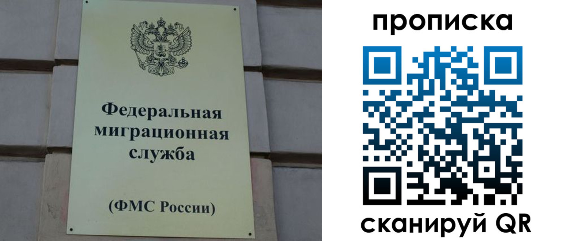 прописка поиск в Россоши